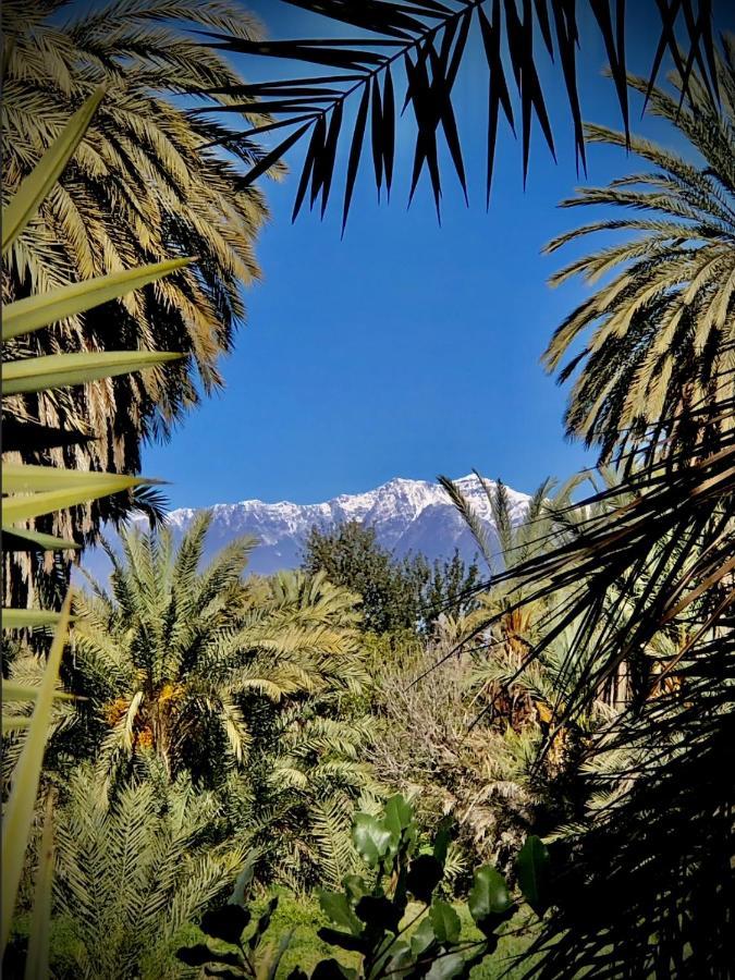 Maison D'Hote "J" أكدز المظهر الخارجي الصورة